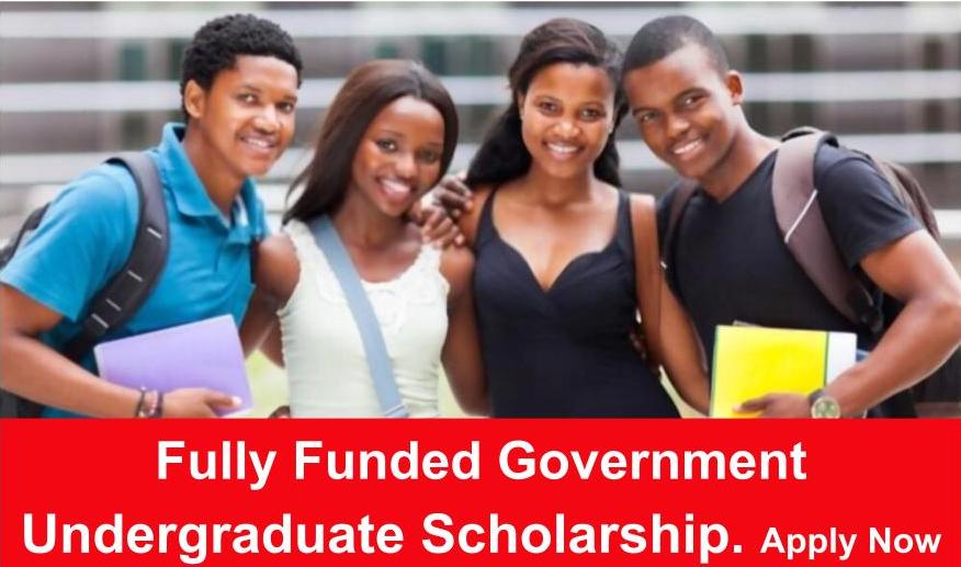 Fully Funded Government Undergraduate Scholarship 2022 - OpportunityHanger