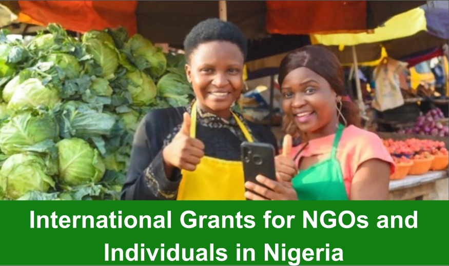 International Grants for NGOs and Individuals in Nigeria